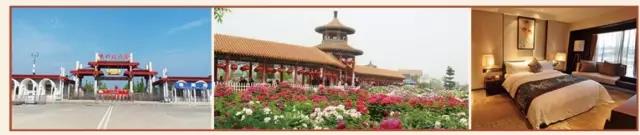 菏泽文化城(中国文化馆)今日封顶 菏泽文化城(中国文化馆)今日封顶