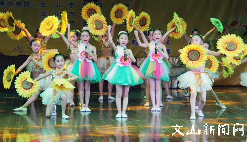 文山州文化馆免费开放进校园系列活动举行