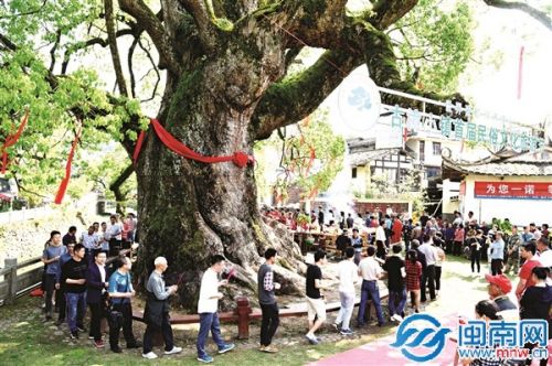 祭古樟王祈福,已经成为当地人的习俗(许华森 摄)